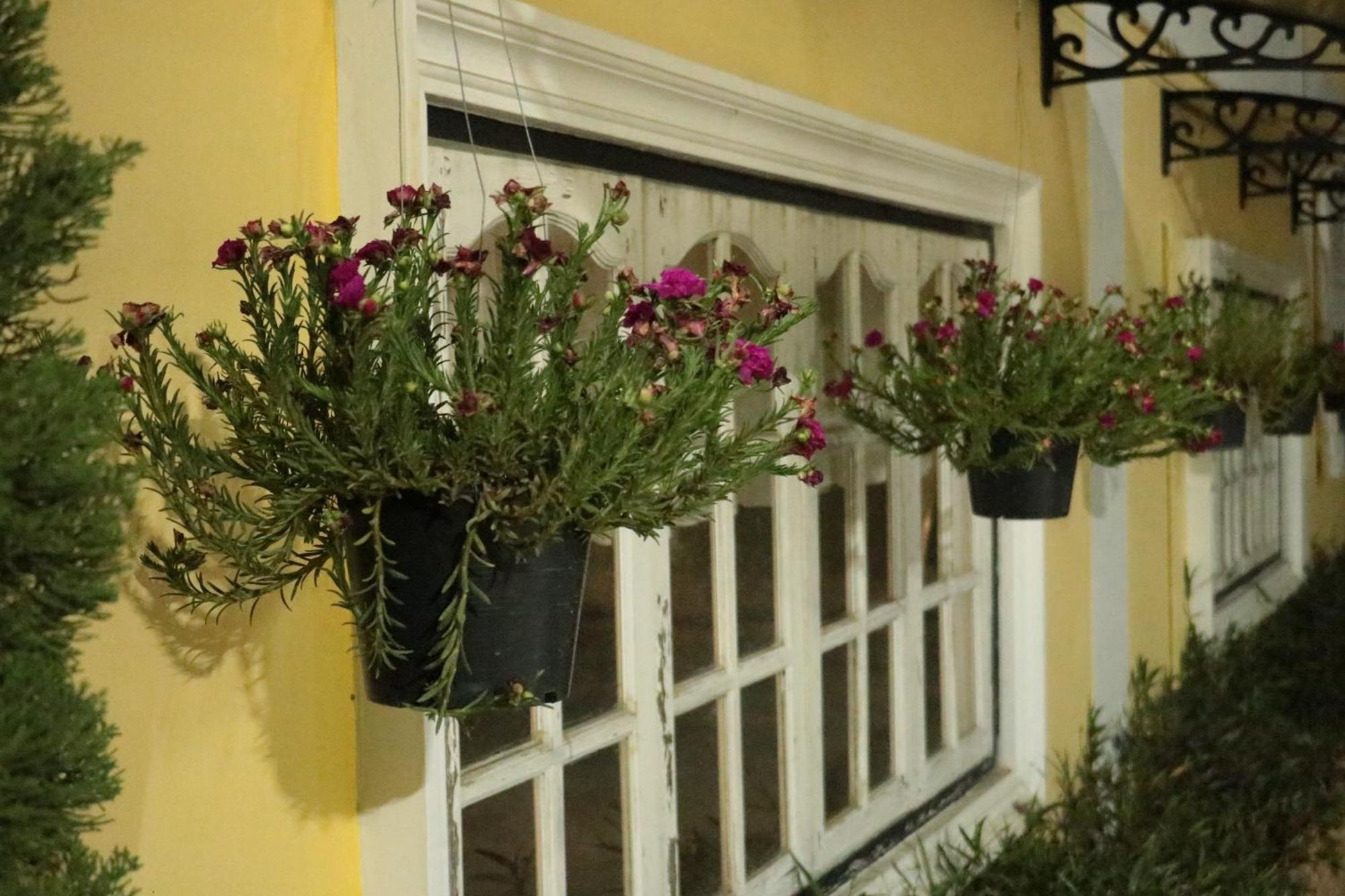 Lm Hostel - Chiang Mai — Photos 1
